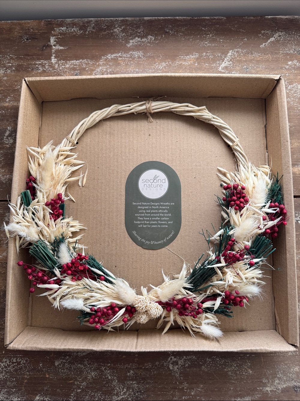 Second Nature Design Holiday Dried Floral Wreath in Red, Green, and Natural